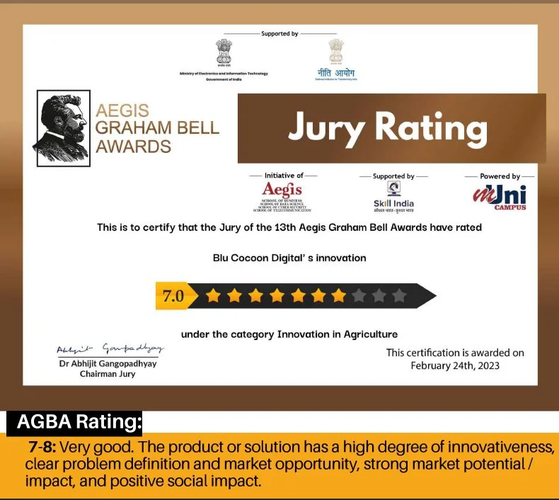 JURY
